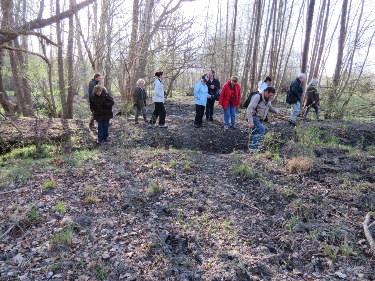 2012 04 21 Ornitho à Gambaiseuil 07